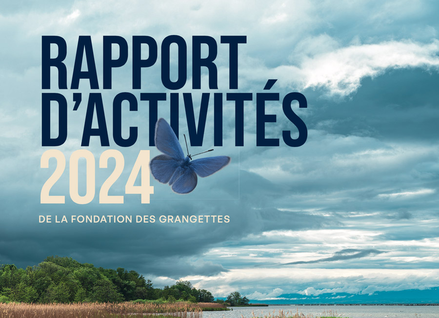 Découvrez le rapport annuel 2024 de la Fondation!