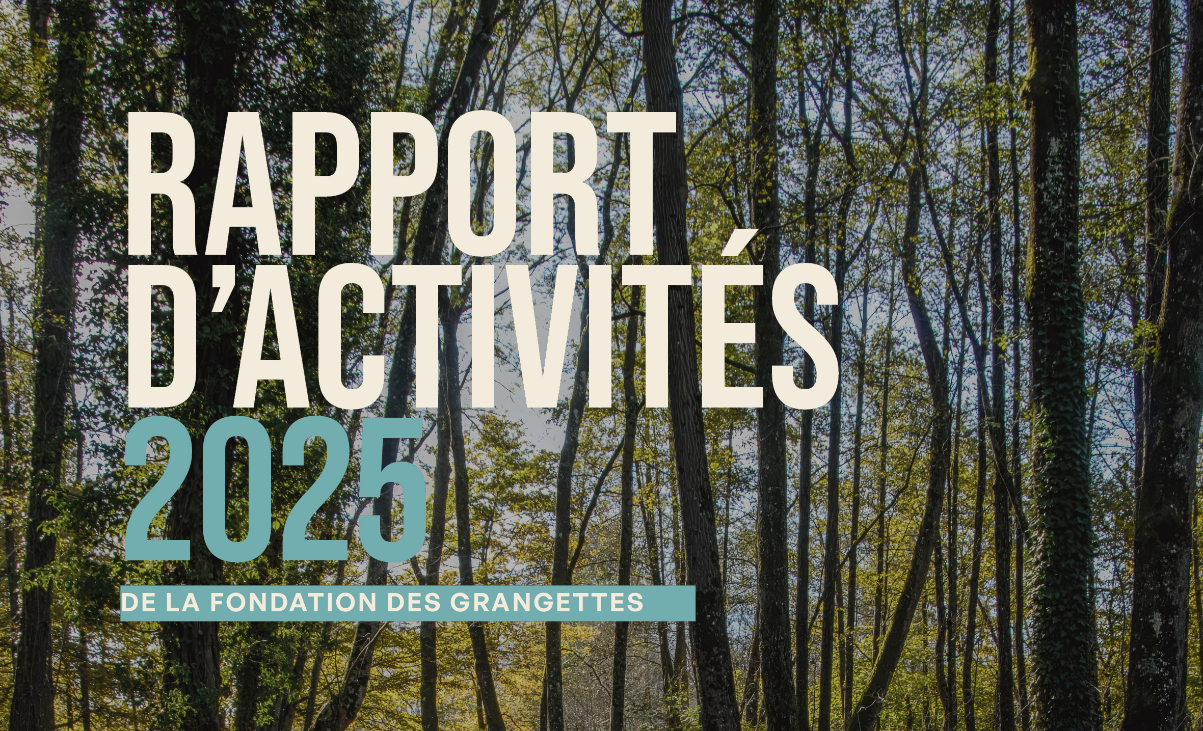 Rapport d’activités 2025